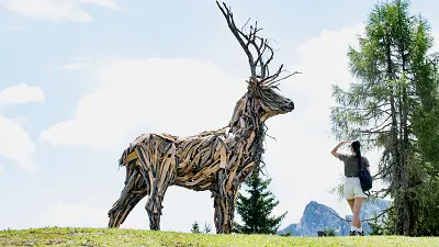 Il Cervo del Fertazza: arte e natura nel cuore della Val Fiorentina