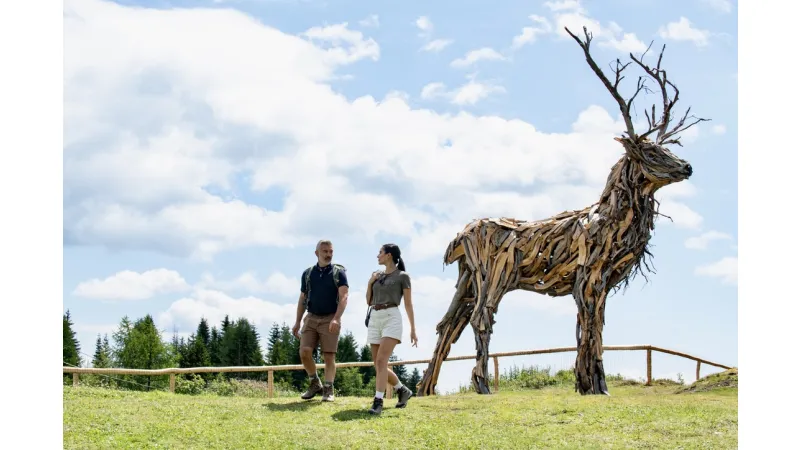 The Fertazza Deer: art and nature in the heart of the Val Fiorentina