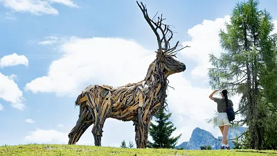The Fertazza Deer: art and nature in the heart of the Val Fiorentina