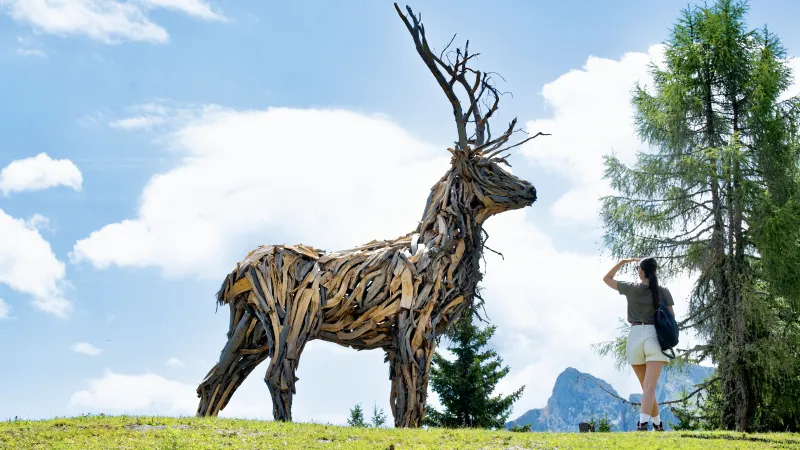 The Fertazza Deer: art and nature in the heart of the Val Fiorentina