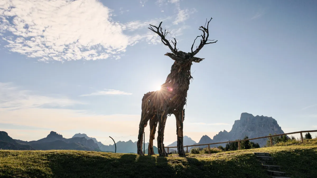 The Fertazza Deer: art and nature in the heart of the Val Fiorentina
