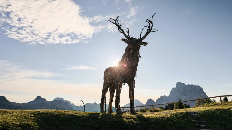 The Fertazza Deer: art and nature in the heart of the Val Fiorentina