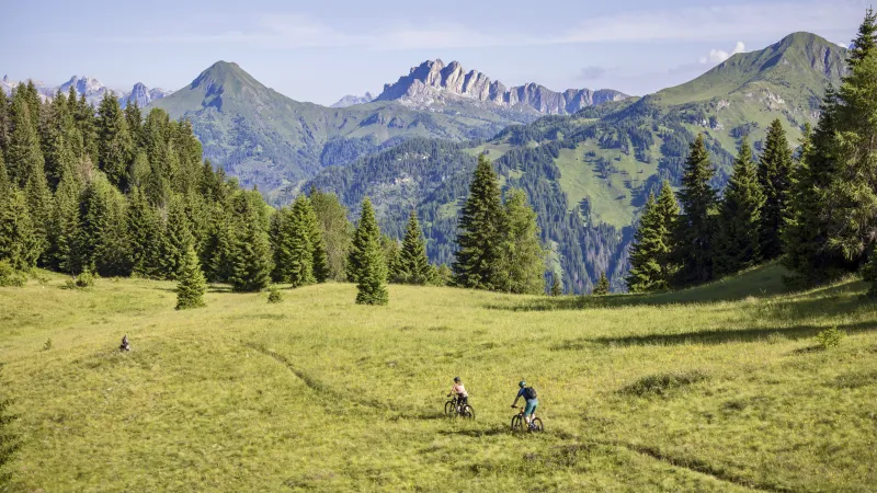 Gravity & Enduro Trails sul Monte Fertazza