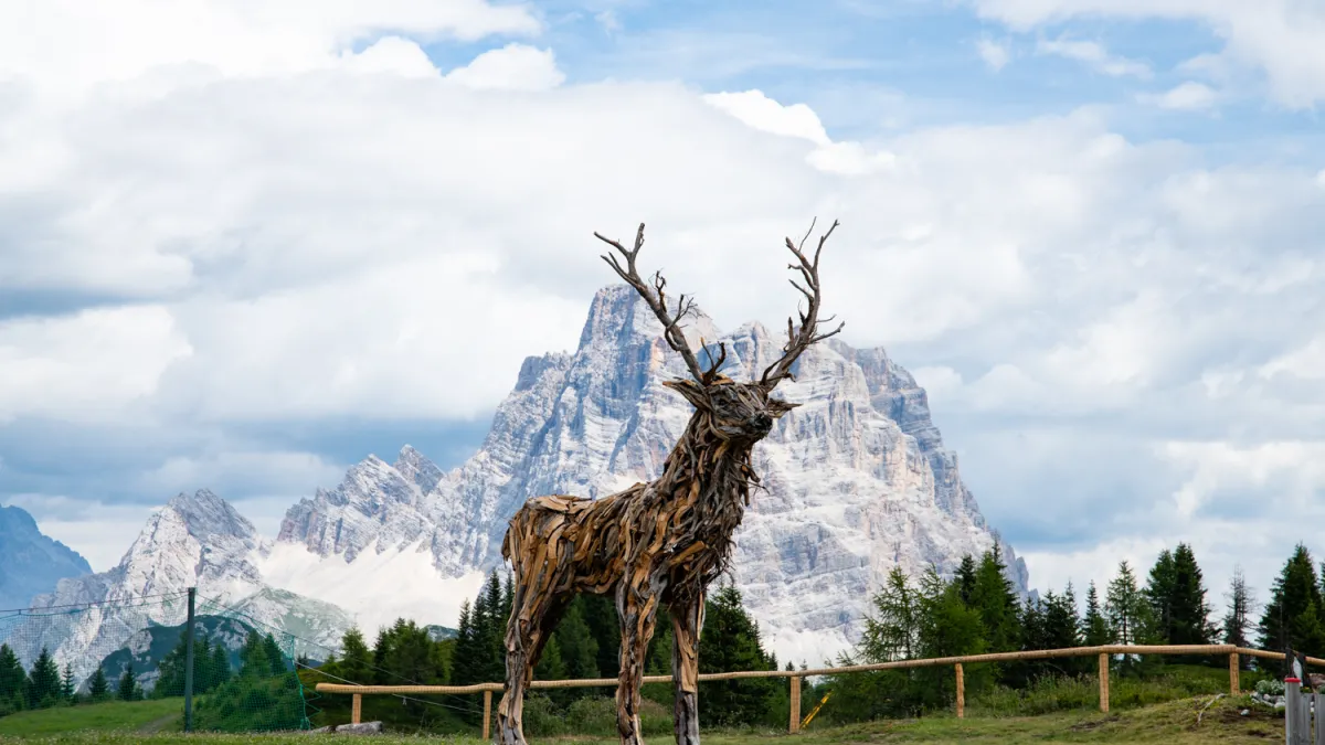 Ristoro Belvedere – Cima Fertazza