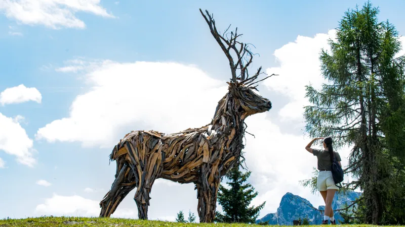 Stagione Estiva 2026